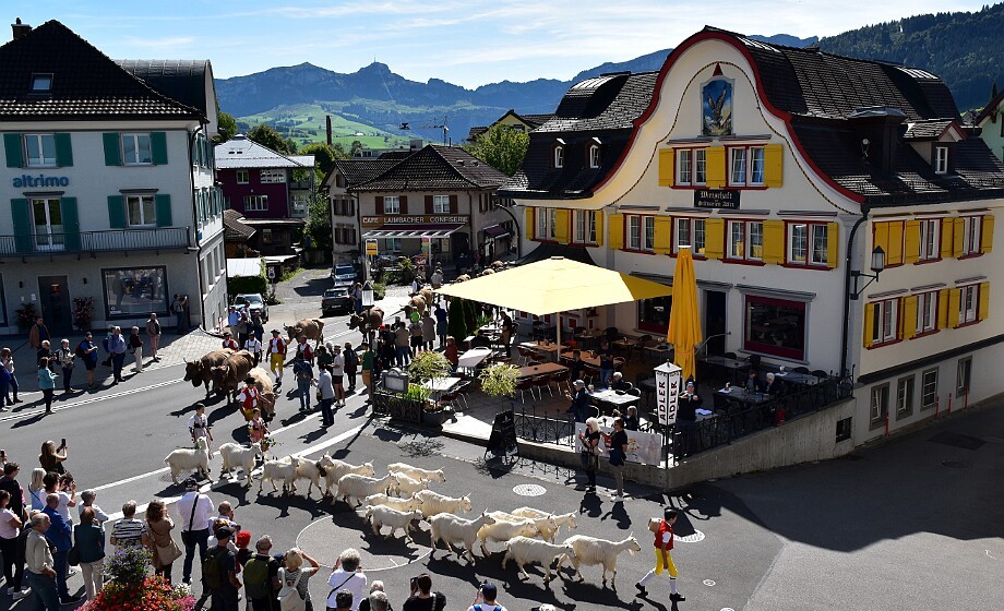 Alpabfahrt Appenzell